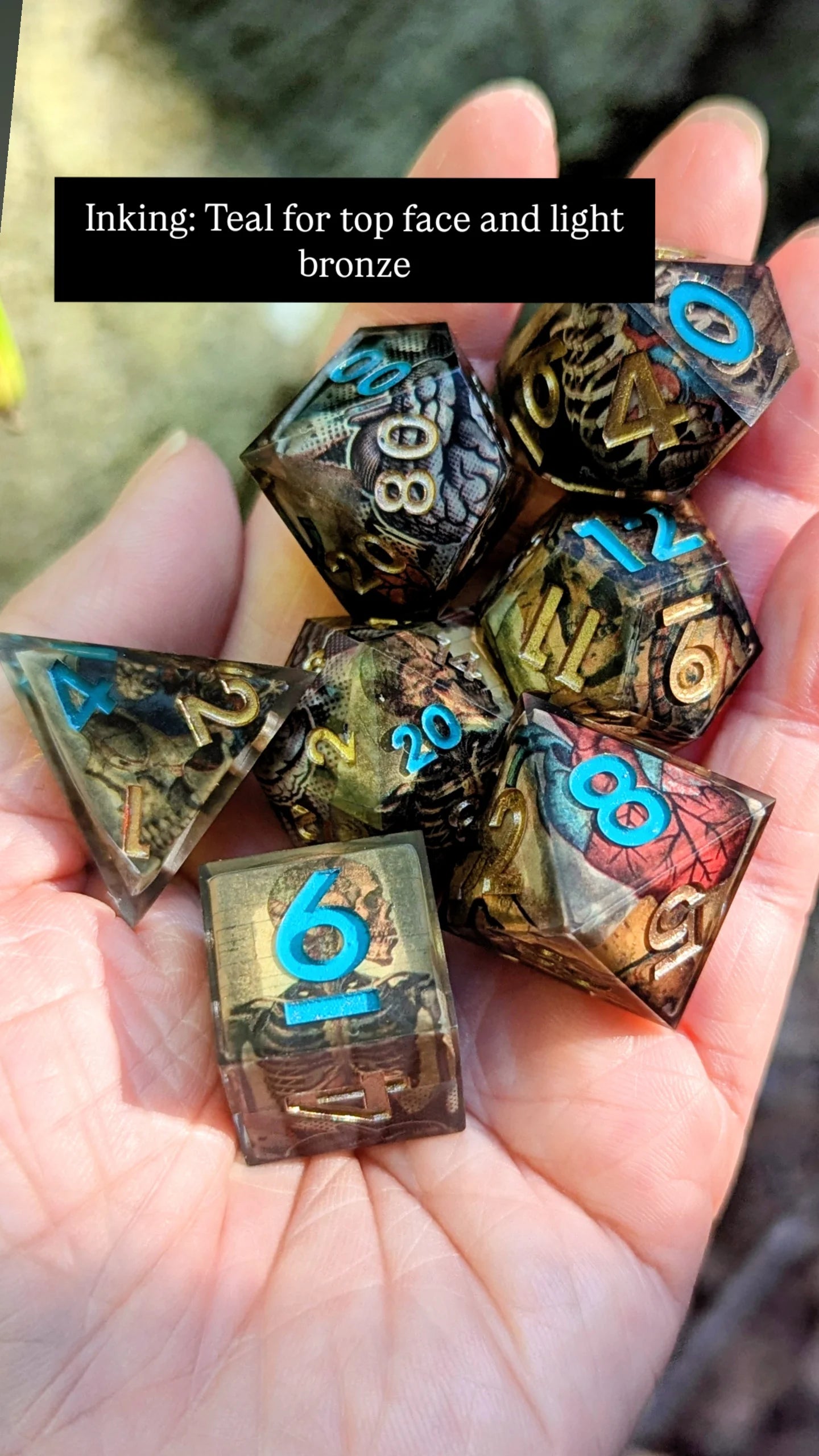 Skeleton Anatomy Washi Tape Dice Set