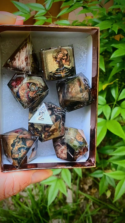 Skeleton Anatomy Washi Tape Dice Set