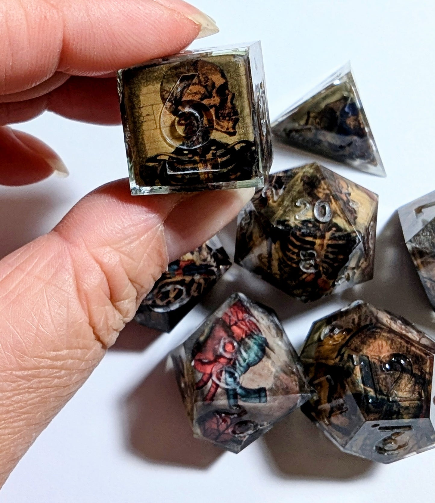 Skeleton Anatomy Washi Tape Dice Set