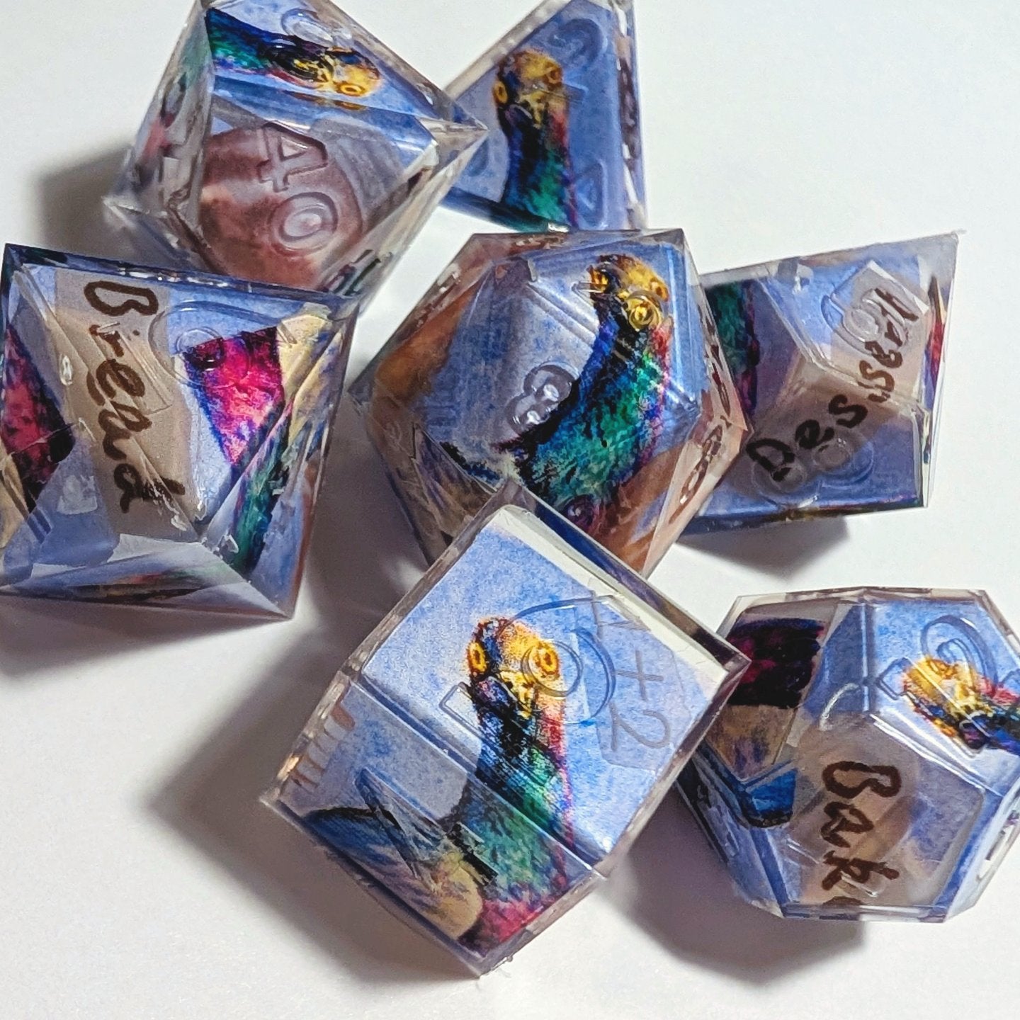 Goofy Pigeon Washi Tape Dice Set