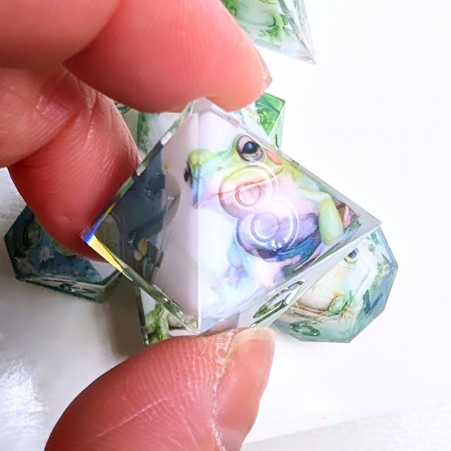 Frog Pond Washi Tape Dice Set