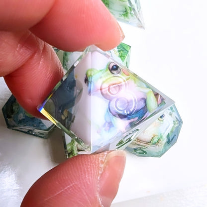 Frog Pond Washi Tape Dice Set