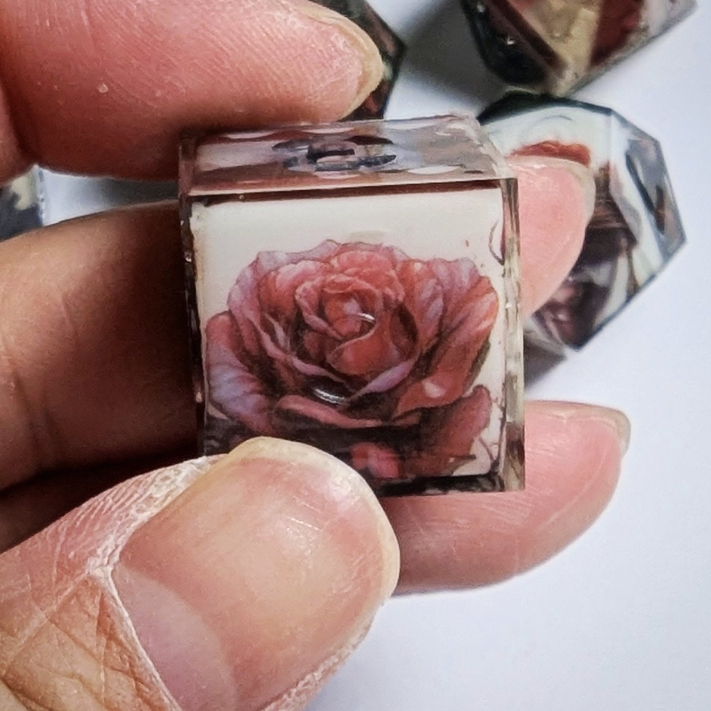 Gothic Rose Washi Tape Dice Set
