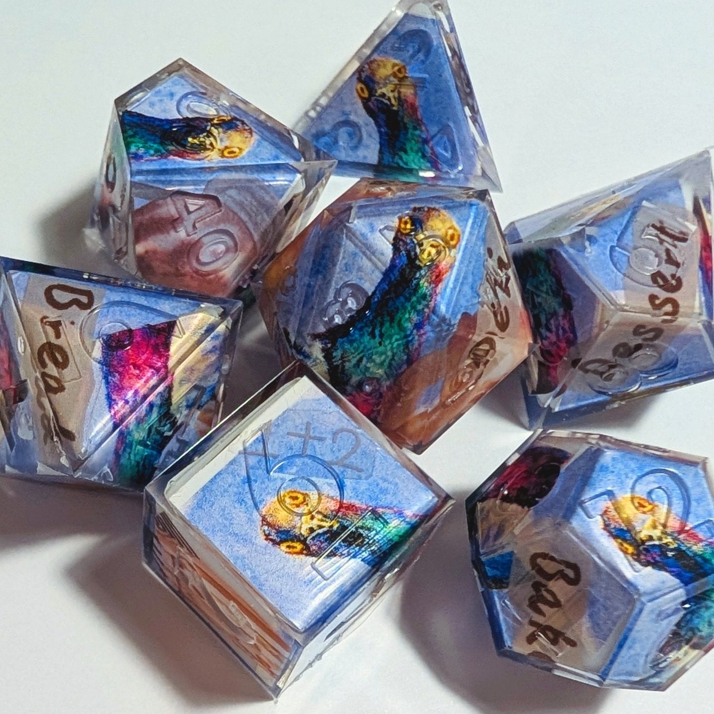 Goofy Pigeon Washi Tape Dice Set