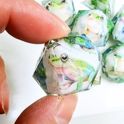 Frog Pond Washi Tape Dice Set