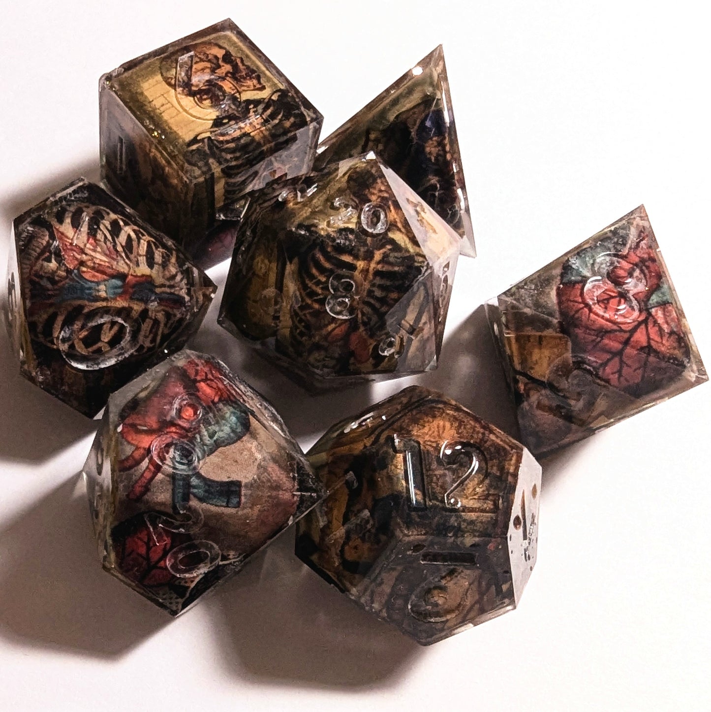 Skeleton Anatomy Washi Tape Dice Set