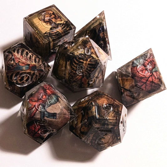 Skeleton Anatomy Washi Tape Dice Set