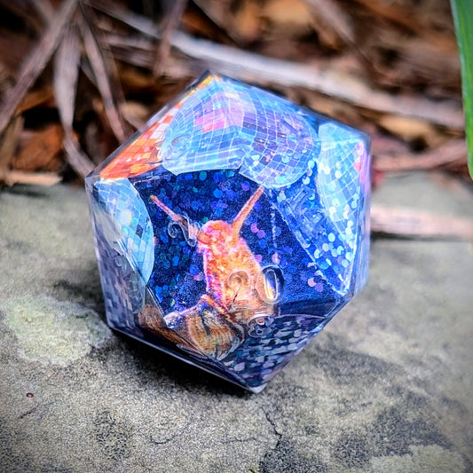 Disco Snail 35mm Chonk