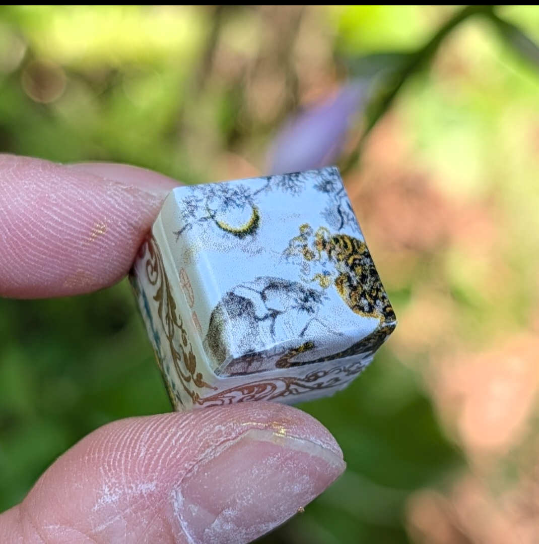 Single D6 Crouching Tiger Hidden Dragon Washi Tape