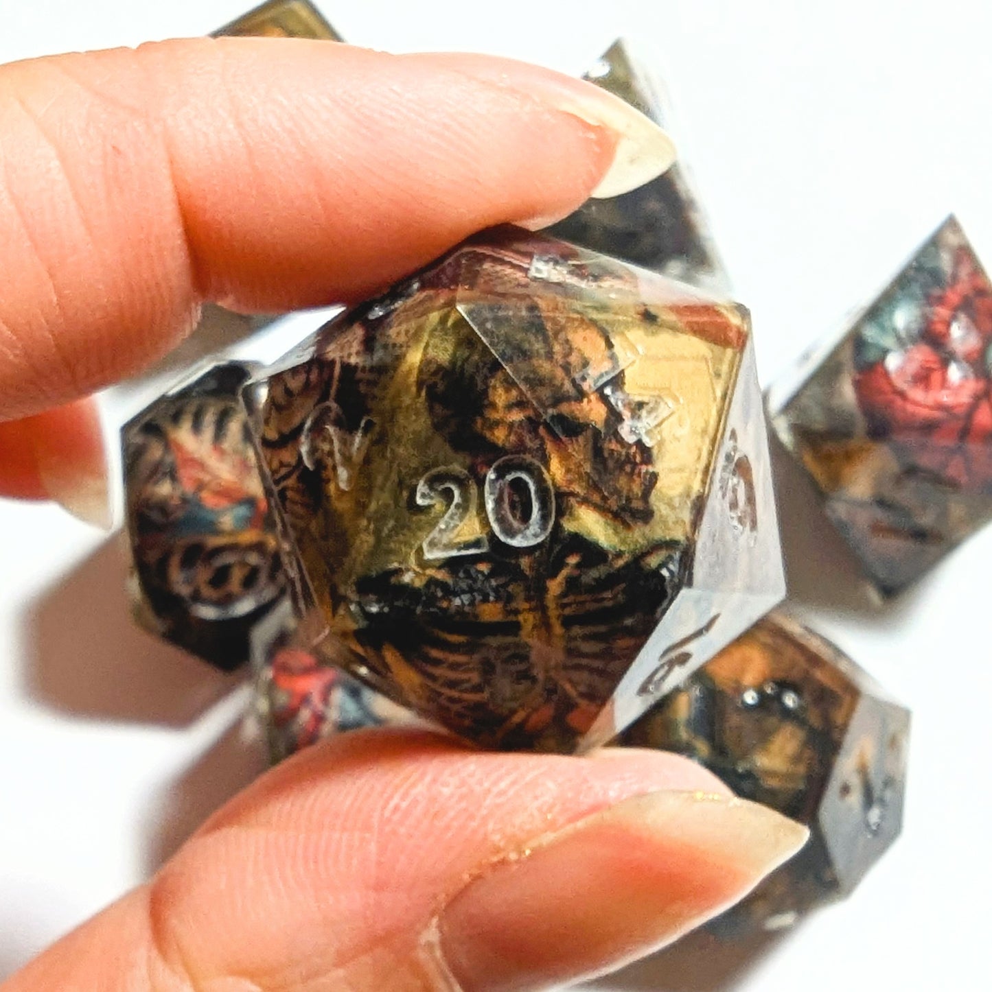 Skeleton Anatomy Washi Tape Dice Set