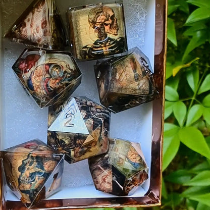 Skeleton Anatomy Washi Tape Dice Set