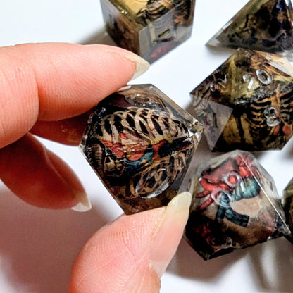 Skeleton Anatomy Washi Tape Dice Set