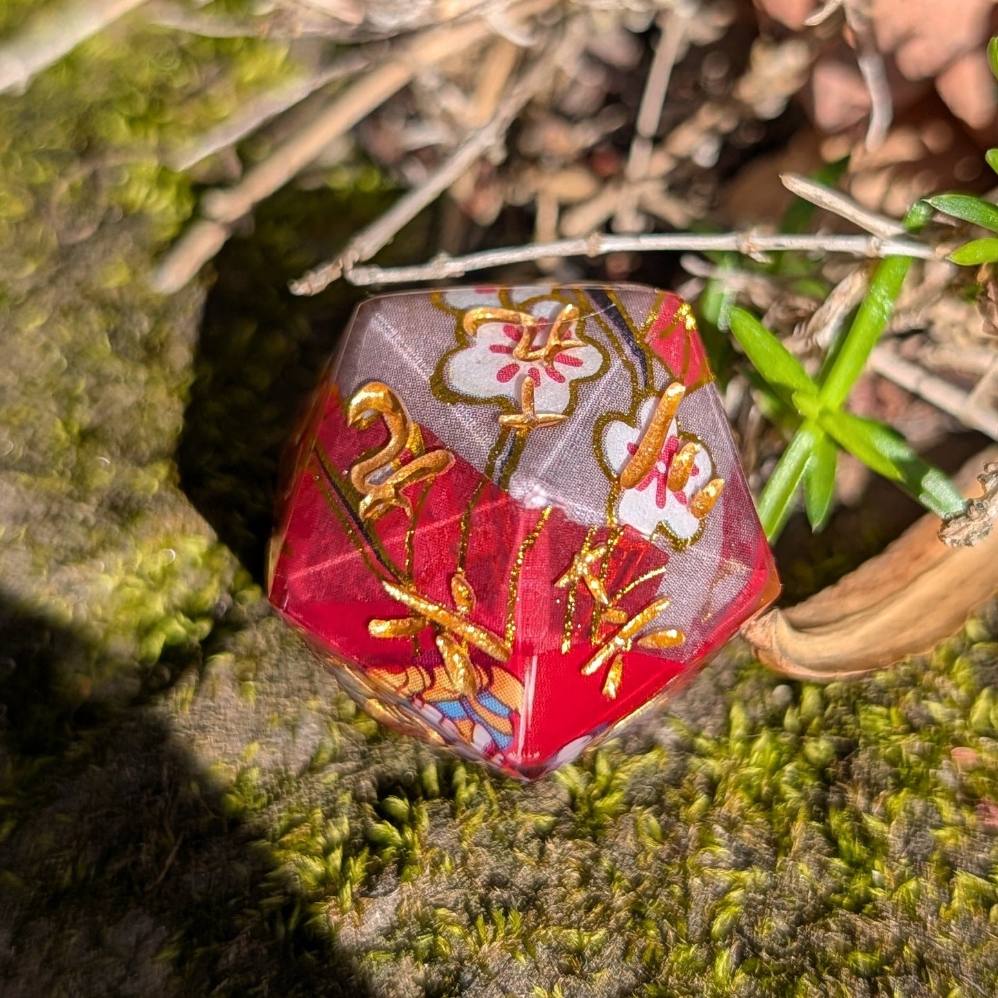 Lion Dance Single D20 Chinese Characters (Kanji)