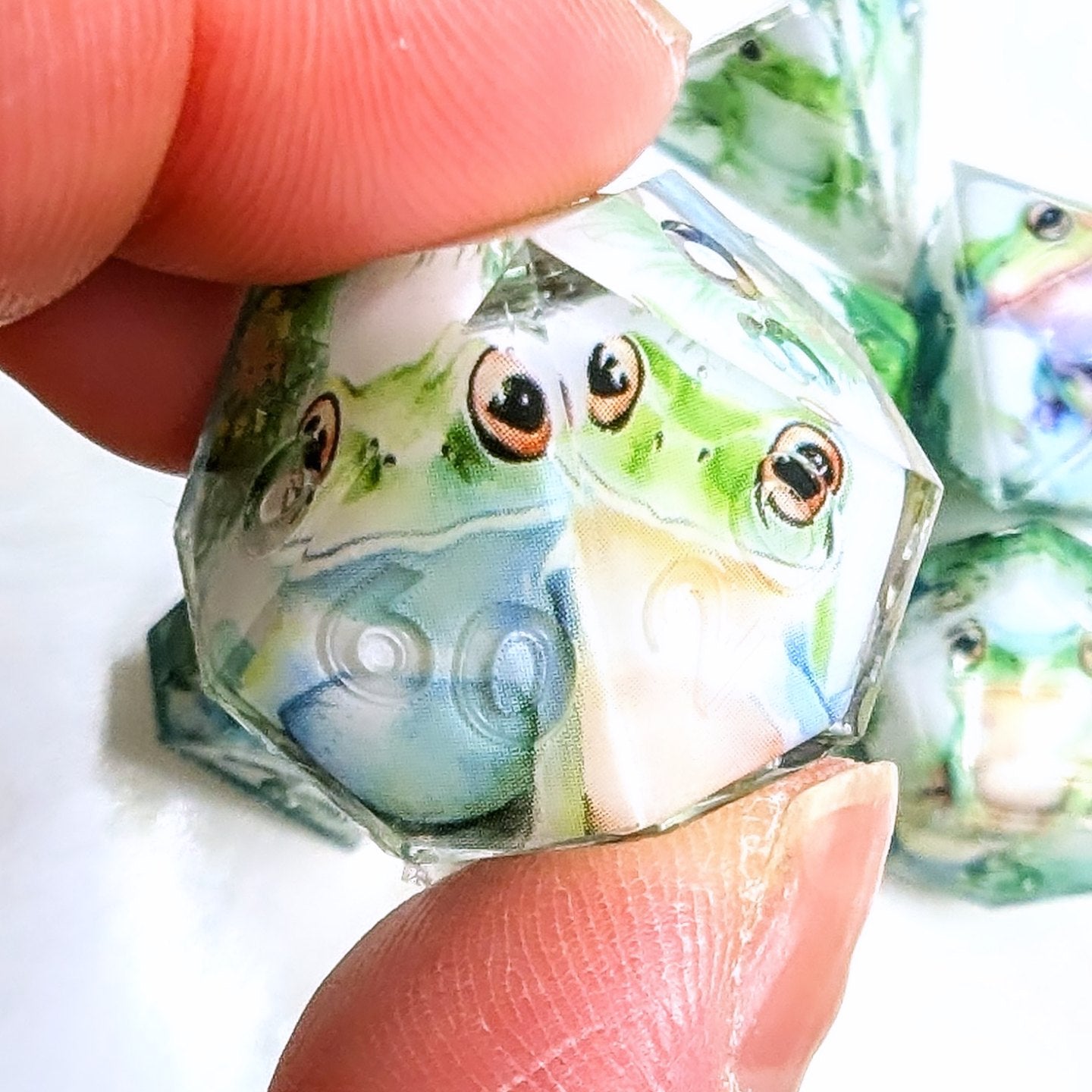 Frog Pond Washi Tape Dice Set