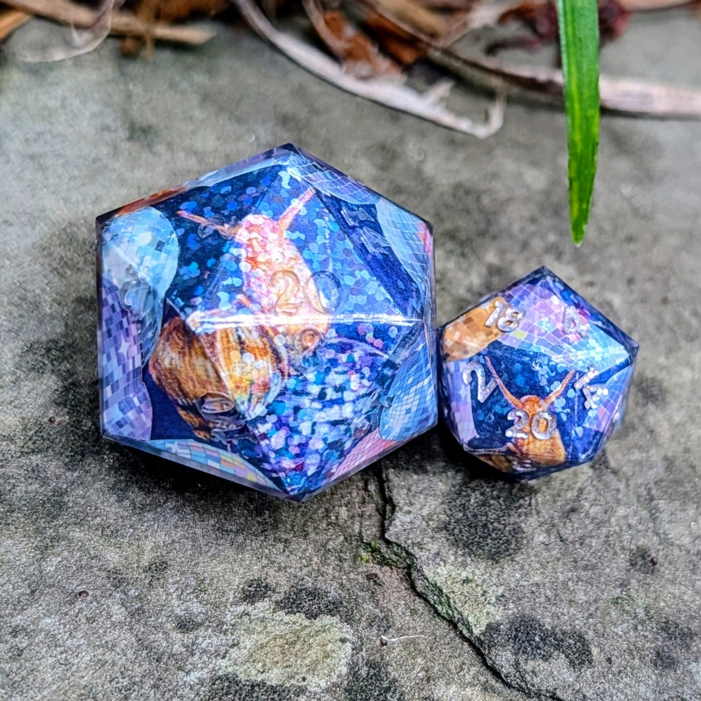 Disco Snail 35mm Chonk