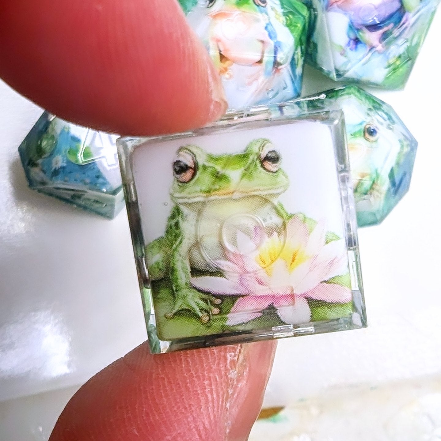 Frog Pond Washi Tape Dice Set