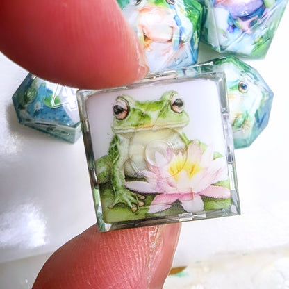 Frog Pond Washi Tape Dice Set