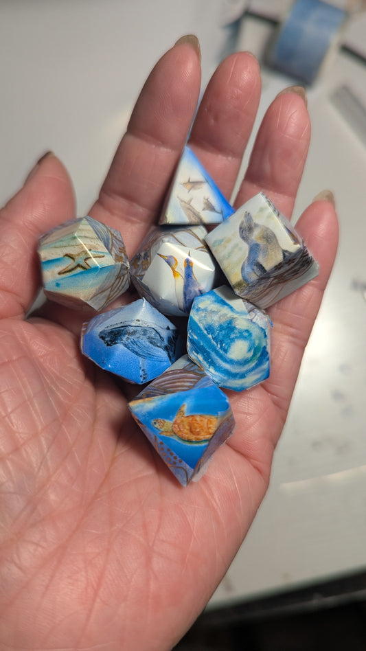 Ocean Creatures Washi Tape Dice Set
