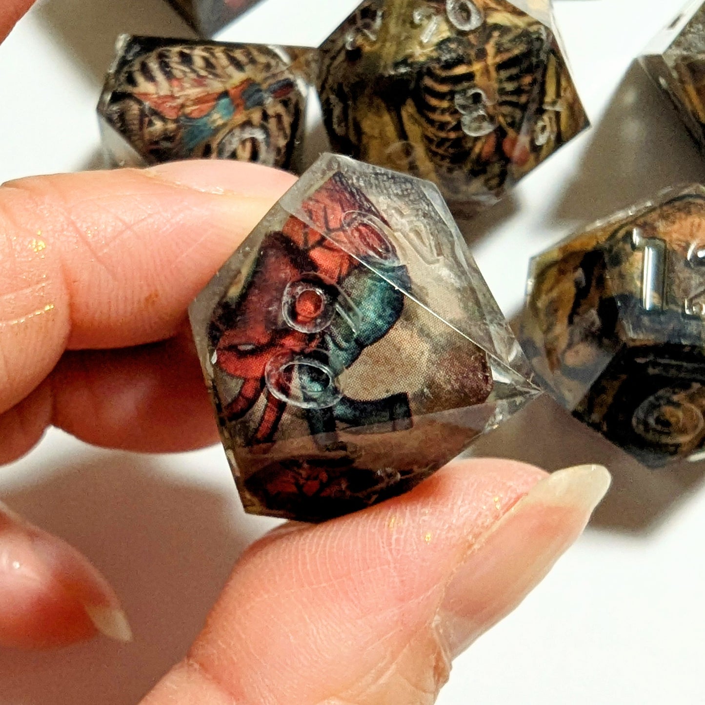 Skeleton Anatomy Washi Tape Dice Set
