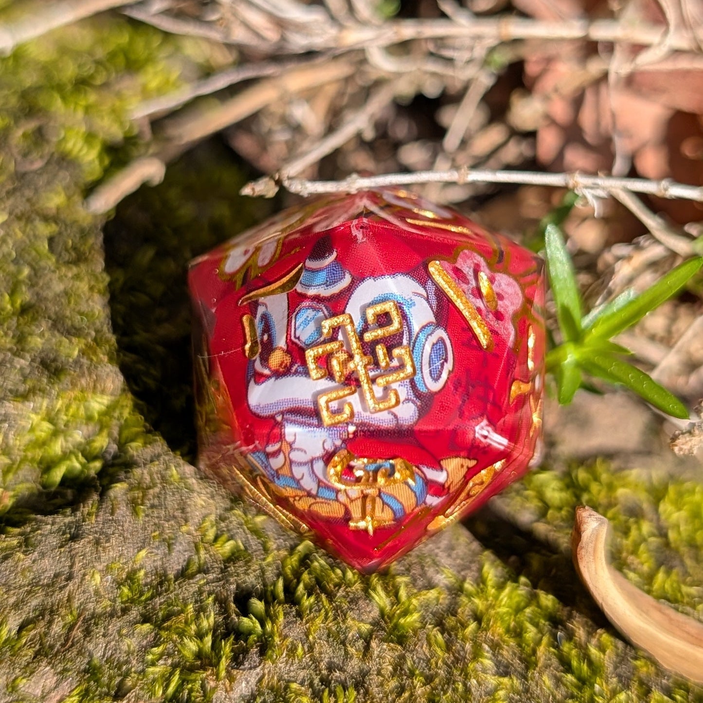 Lion Dance Single D20 Chinese Characters (Kanji)